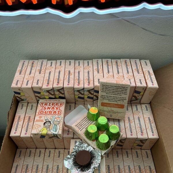 trippy snax dubia 600mg psilocybin trippyverse infused dubia chocolate cup