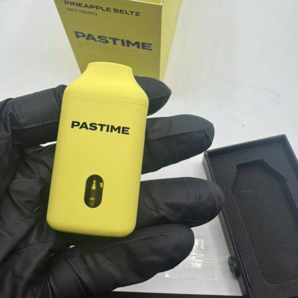 Pastime 2g disposable