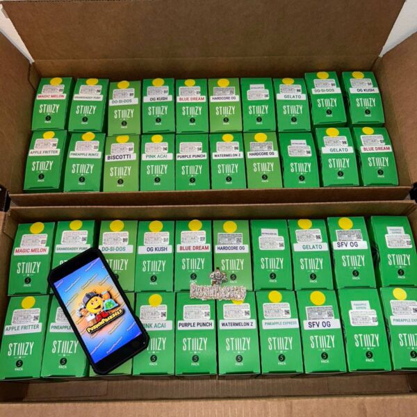 stiiizy one gram 1g disposable