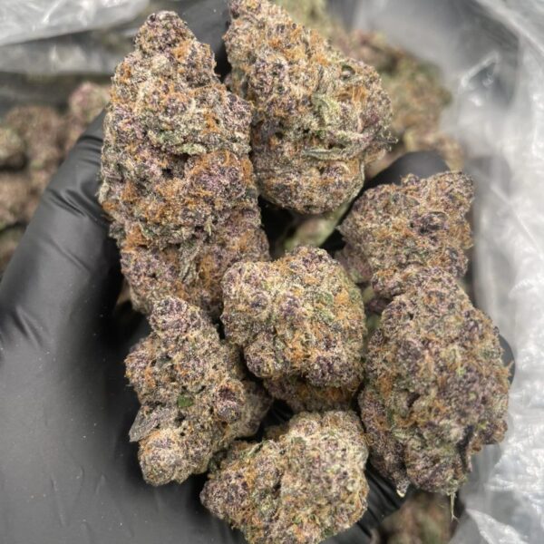 purple zkittlez weed strain