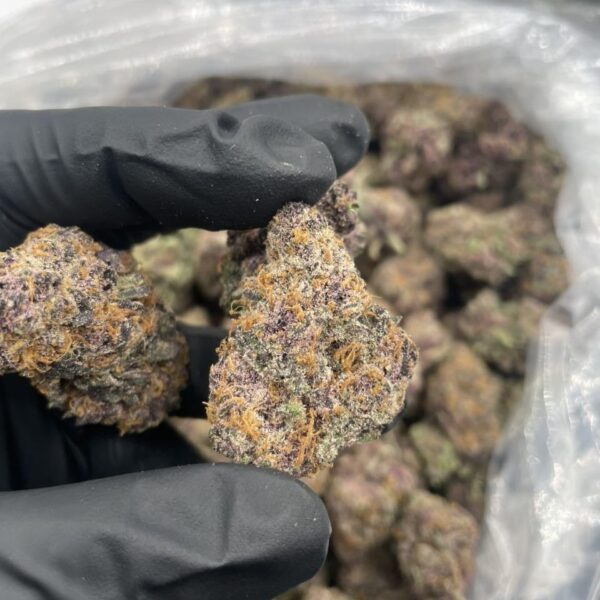 purple zkittlez weed strain