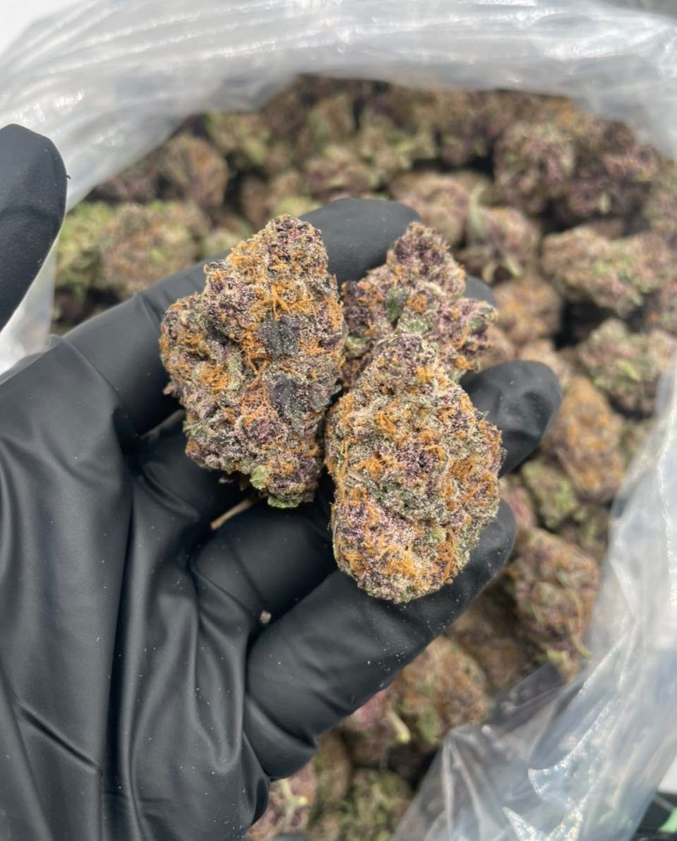 photo_2026-05-10_14-58-41 purple zkittlez weed strain