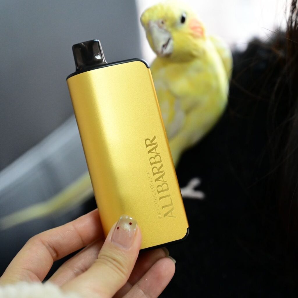 alibarbar disposable vape