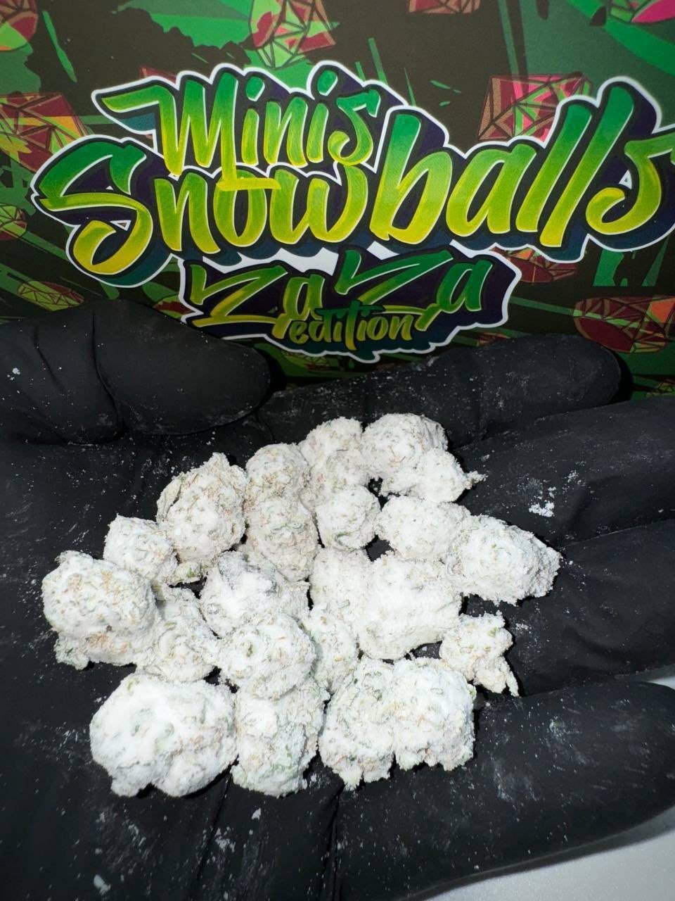 photo_2026-06-06_01-55-29 Persy minis snowballs zaza edition